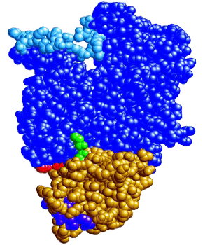 Crosslinking-Is-The-Major-Property-Of-Photovoltaic-EVA-Encapsulant Crosslinking-Is-The-Major-Property-Of-Photovoltaic-EVA-Encapsulant.png